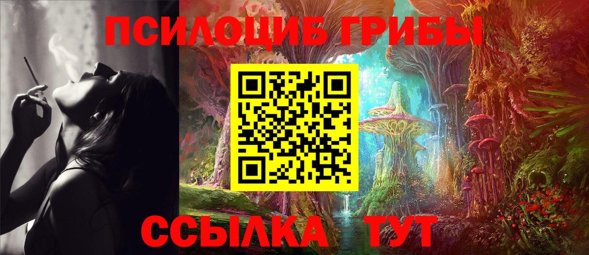 Галлюциногенные грибы GOLDEN TEACHER Кузнецк