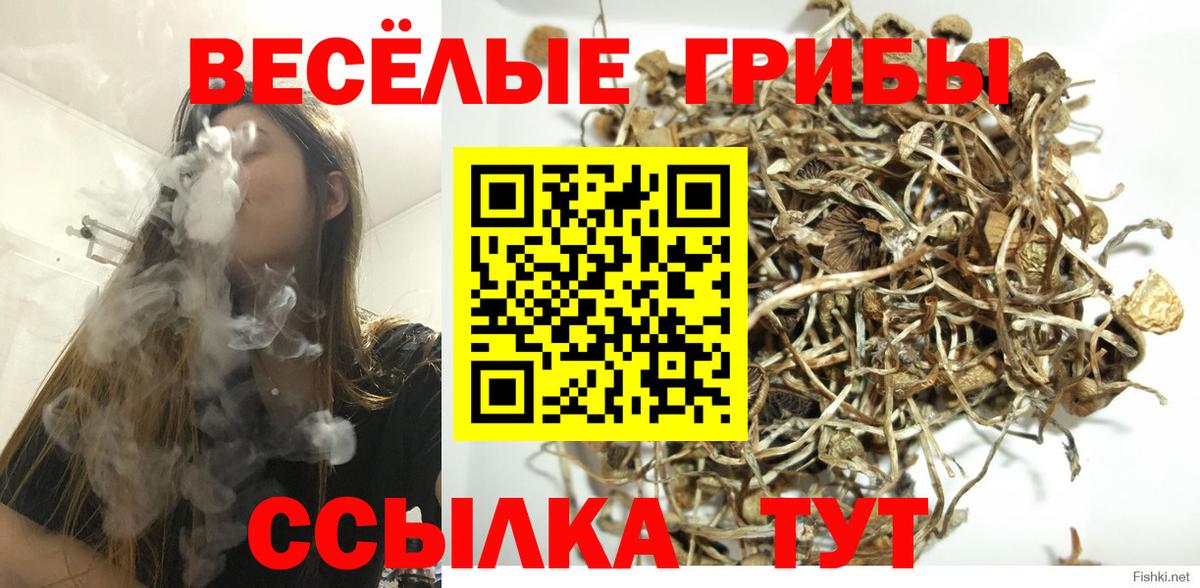 Псилоцибиновые грибы мицелий  Галлюциногенные грибы Psilocybine cubensis  Кузнецк  Вход с VPN 